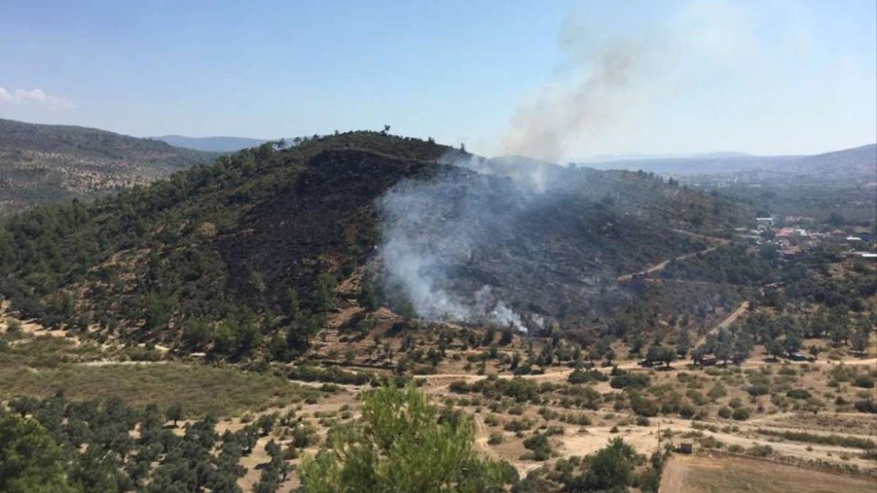 Muğla'nın Milas ilçesinde orman yangını