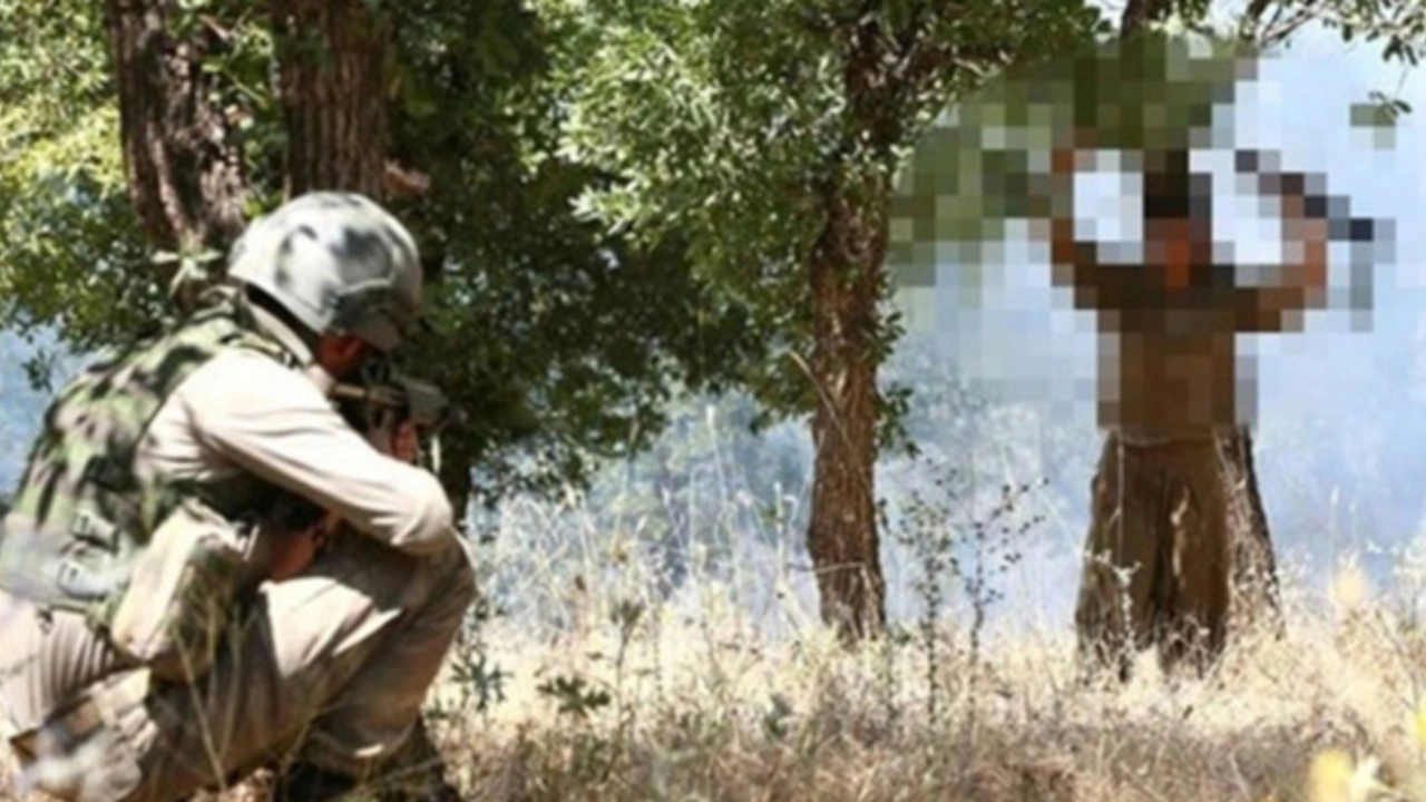 Şırnak'ta 3 terörist ikna çalışmaları sonucu güvenlik güçlerine teslim oldu