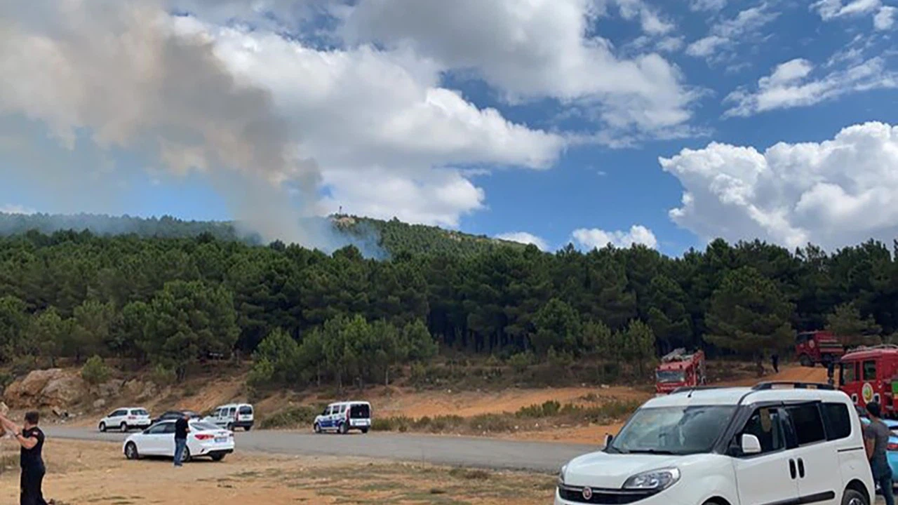 Aydos'ta orman yangını