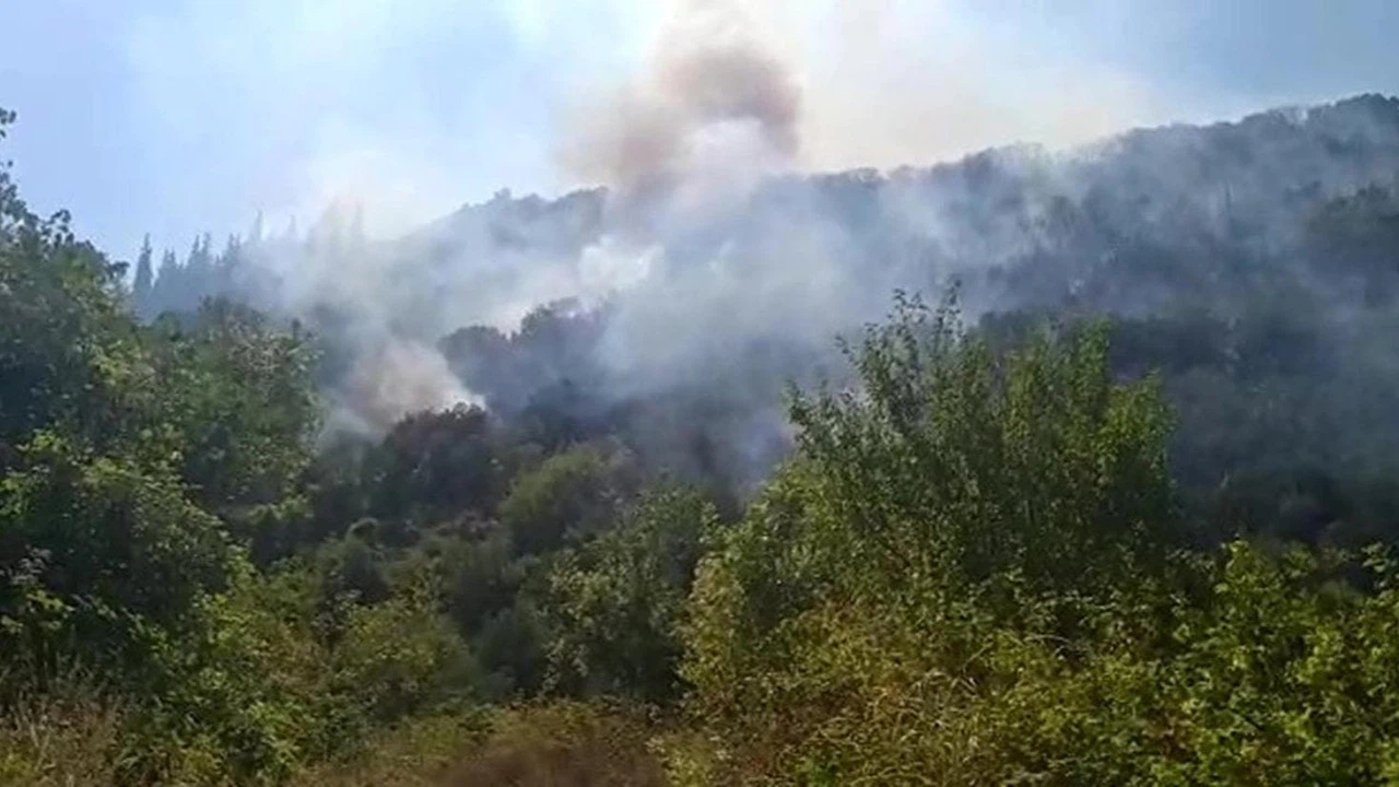 Gölcük'te orman yangını!