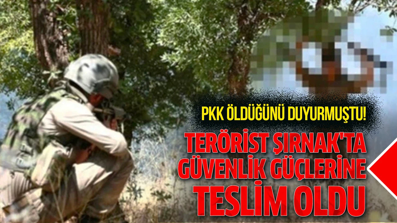 PKK'nın öldüğünü duyurduğu terörist, Şırnak’ta teslim oldu