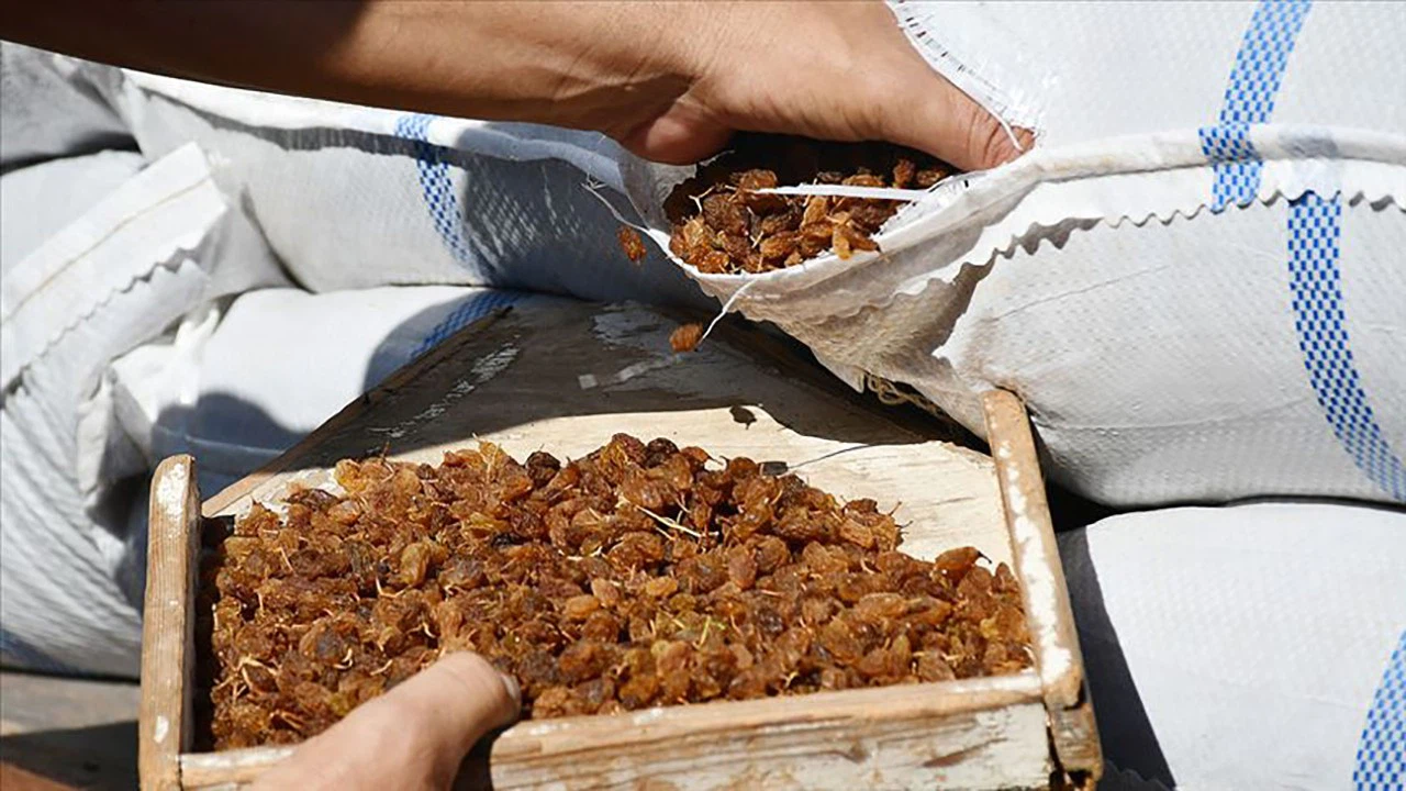 Bakan Pakdemirli: Bu yıl kuru üzüm fiyatını 12,5 liranın altına düşürmeyeceğiz