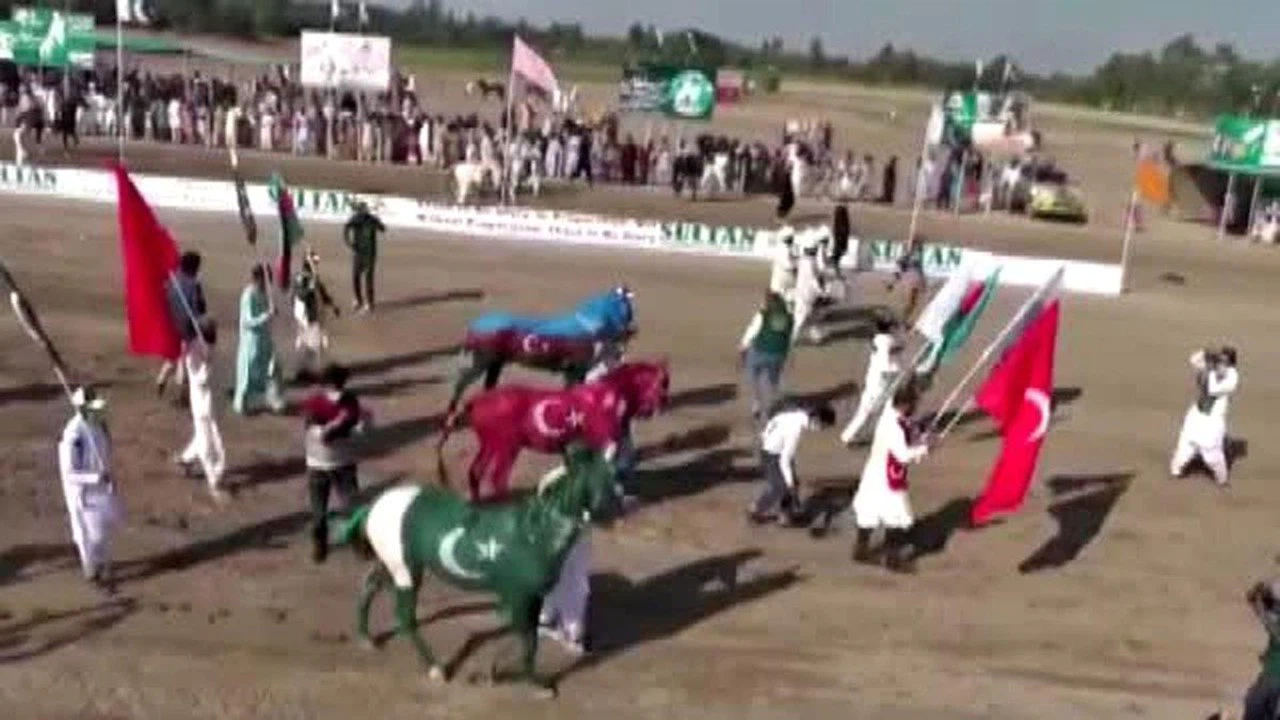 Pakistan'da atlar Türkiye ve Azerbaycan bayraklarının renklerine boyandı