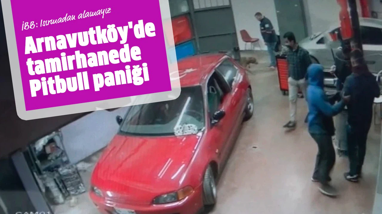 İBB: Isırmadan alamayız