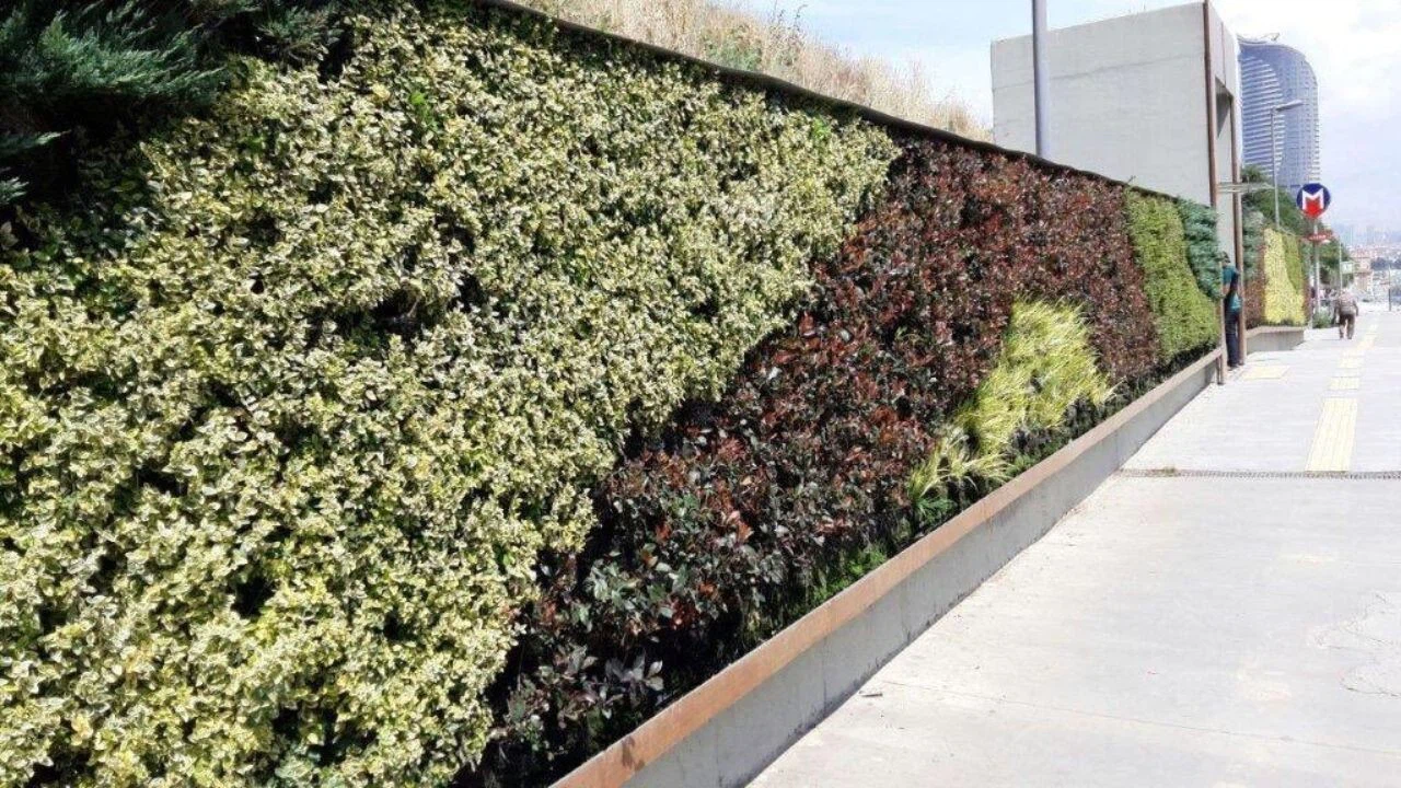 Bakan Kurum: Şehirlerimizde dikey bahçe gibi çevre ve iklim dostu uygulamaların yaygınlaşmasını destekliyoruz