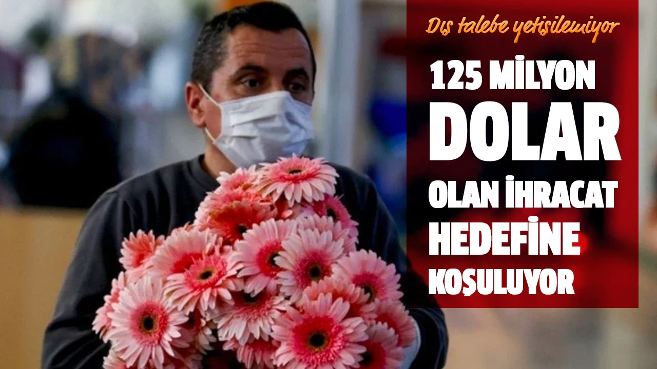 Çiçek sektörü dış talebe yetişemiyor: 125 milyon dolar olan ihracat hedefine koşuluyor