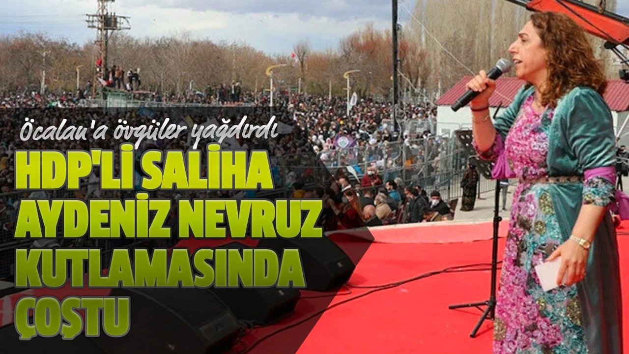 HDP'li Saliha Aydeniz Nevruz kutlamasında çoştu