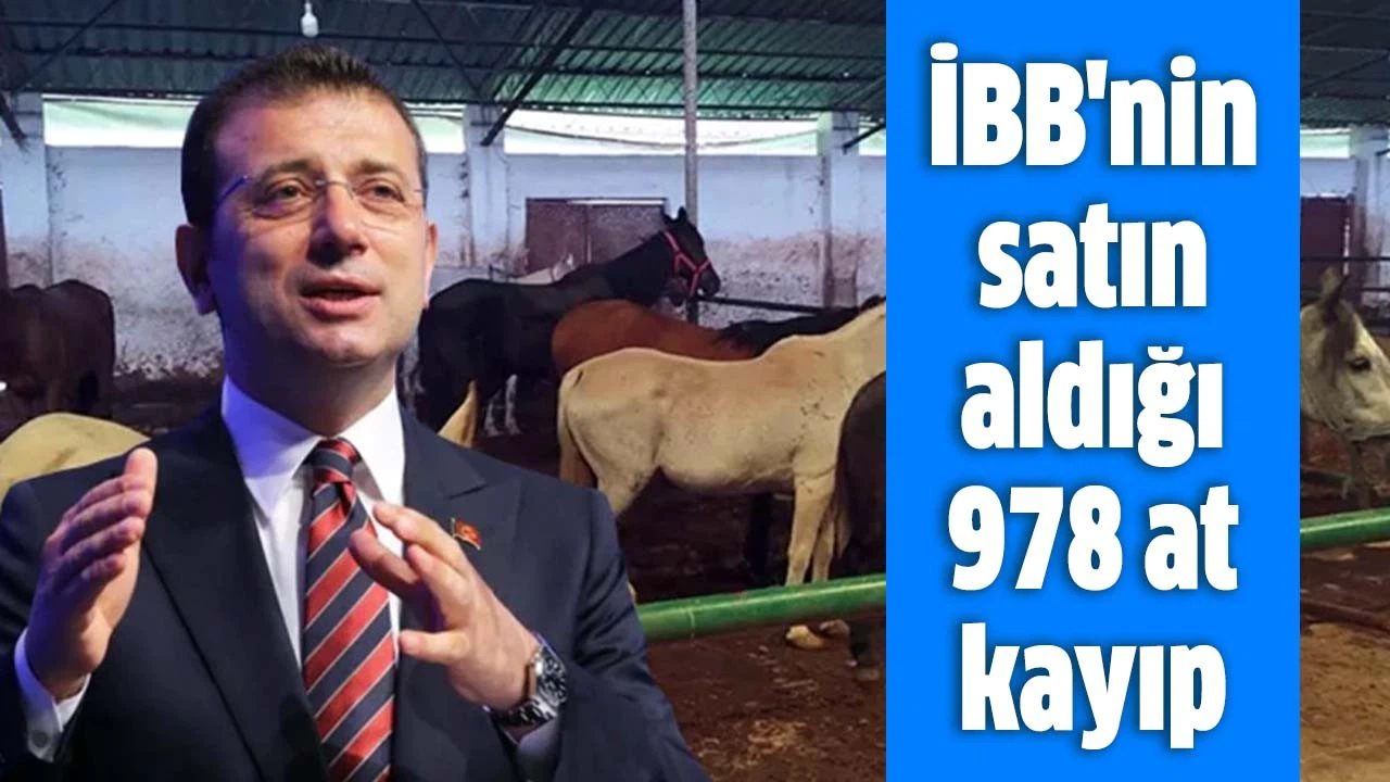 İBB'nin satın aldığı 978 at kayıp