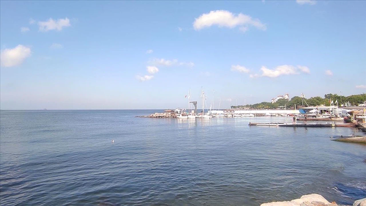 Bakan Kurum: Marmara'da balıklar görünmeye başladı