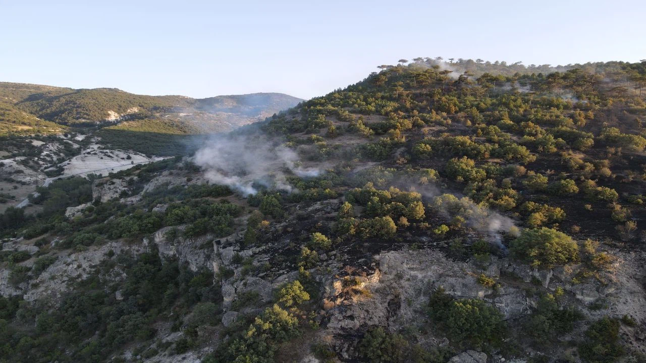 Kızılcahamam'da çıkan orman yangını kontrol altına alındı