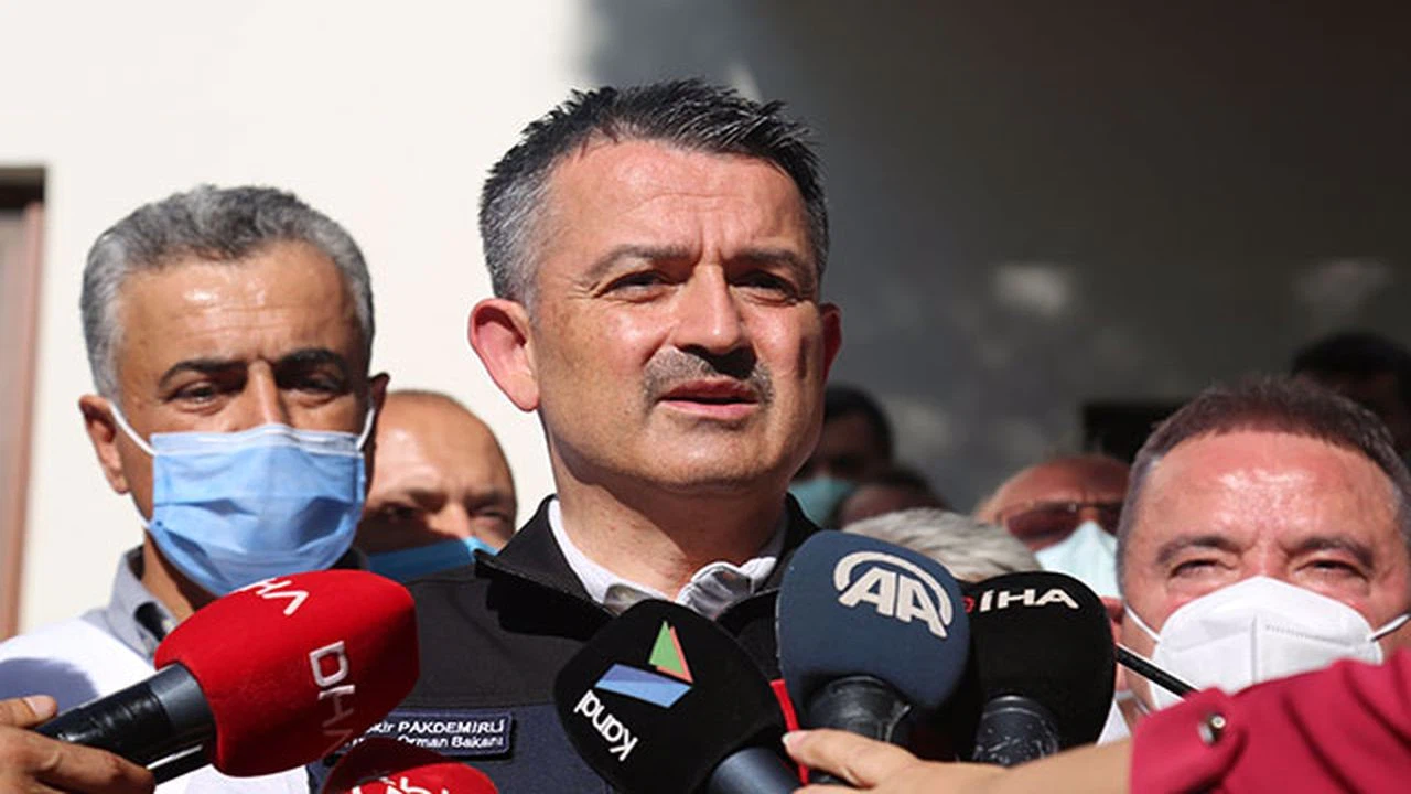 Toplam 85 orman yangınının 74'ü kontrol altında