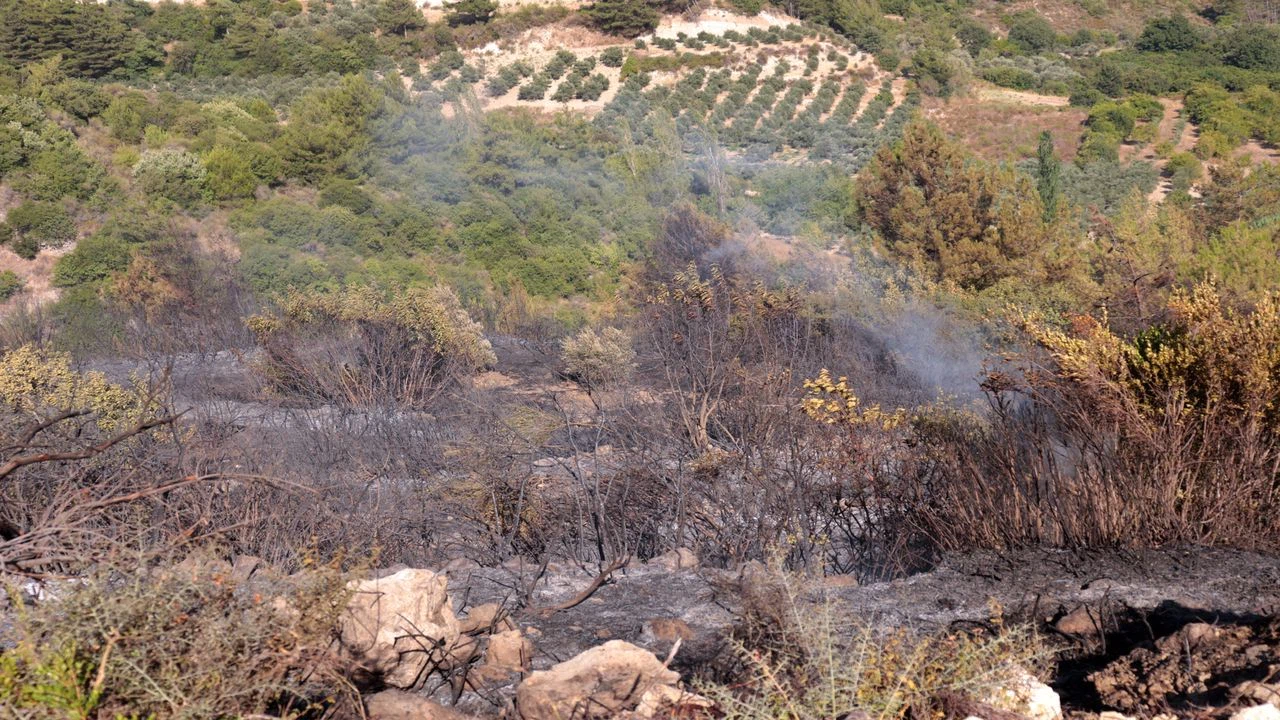 Hatay Samandağ'da çıkan orman yangını kontrol altına alındı