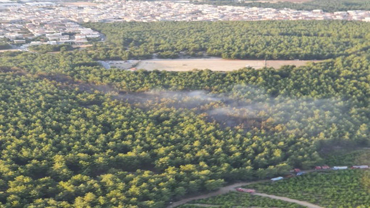 İzmir'de çıkan orman yangını kontrol altına alındı