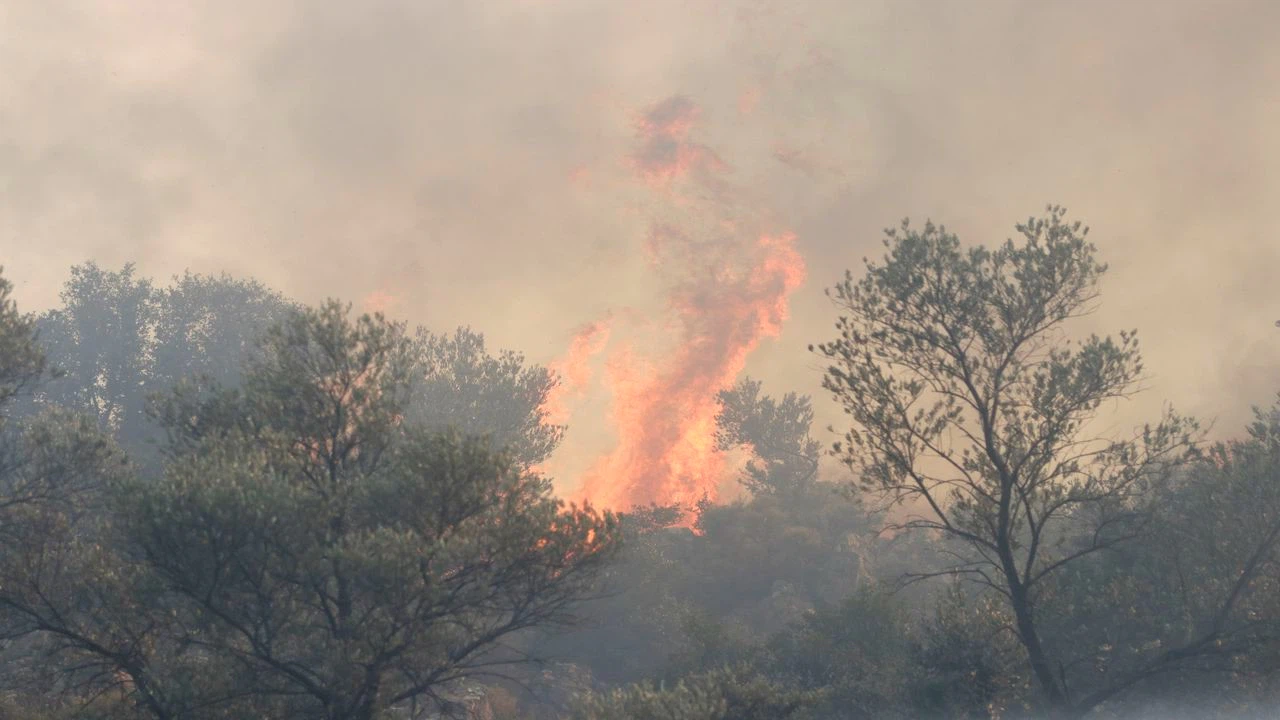 Muğla Seydikemer'deki orman yangını zeytin bahçelerine sıçradı