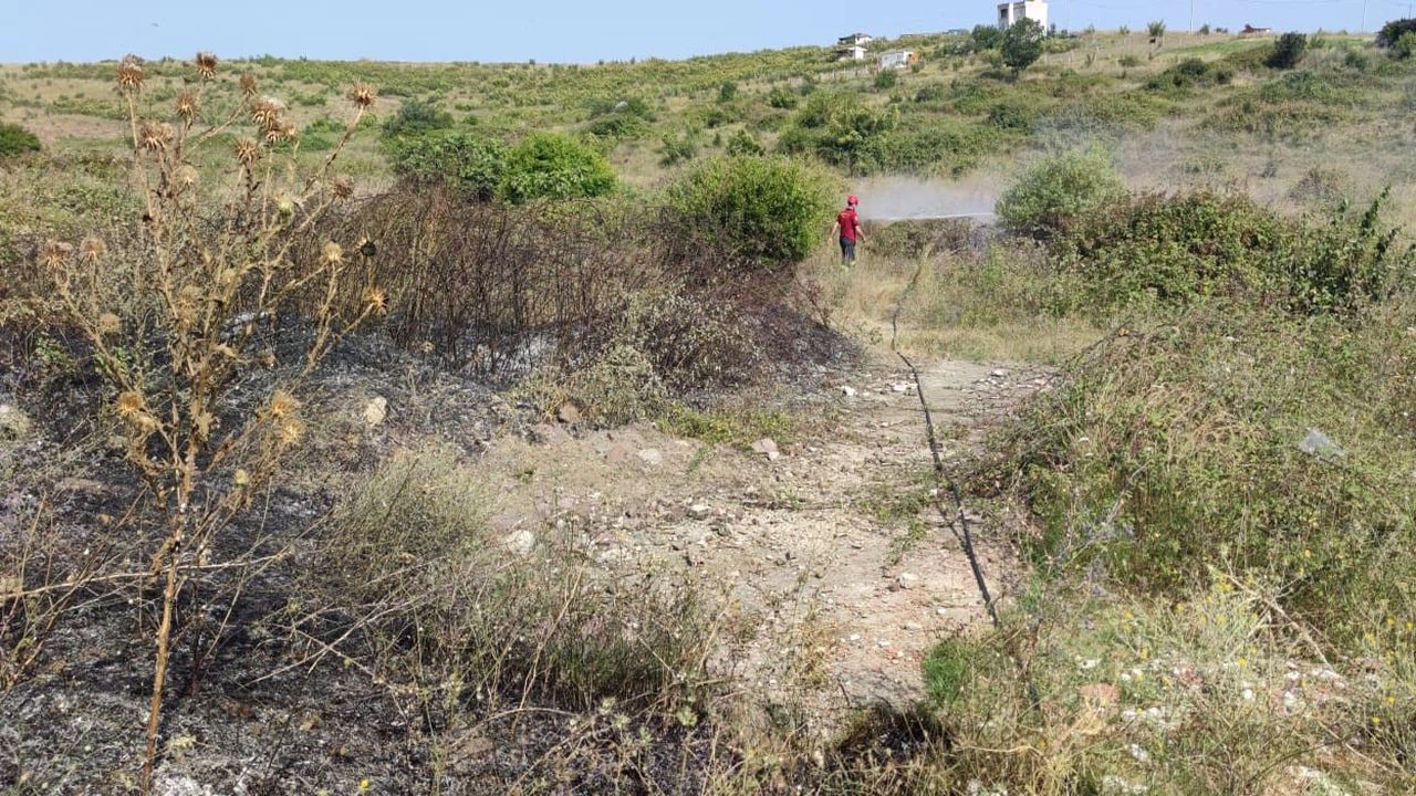 Yalova'da otluk alanda çıkan yangın söndürüldü