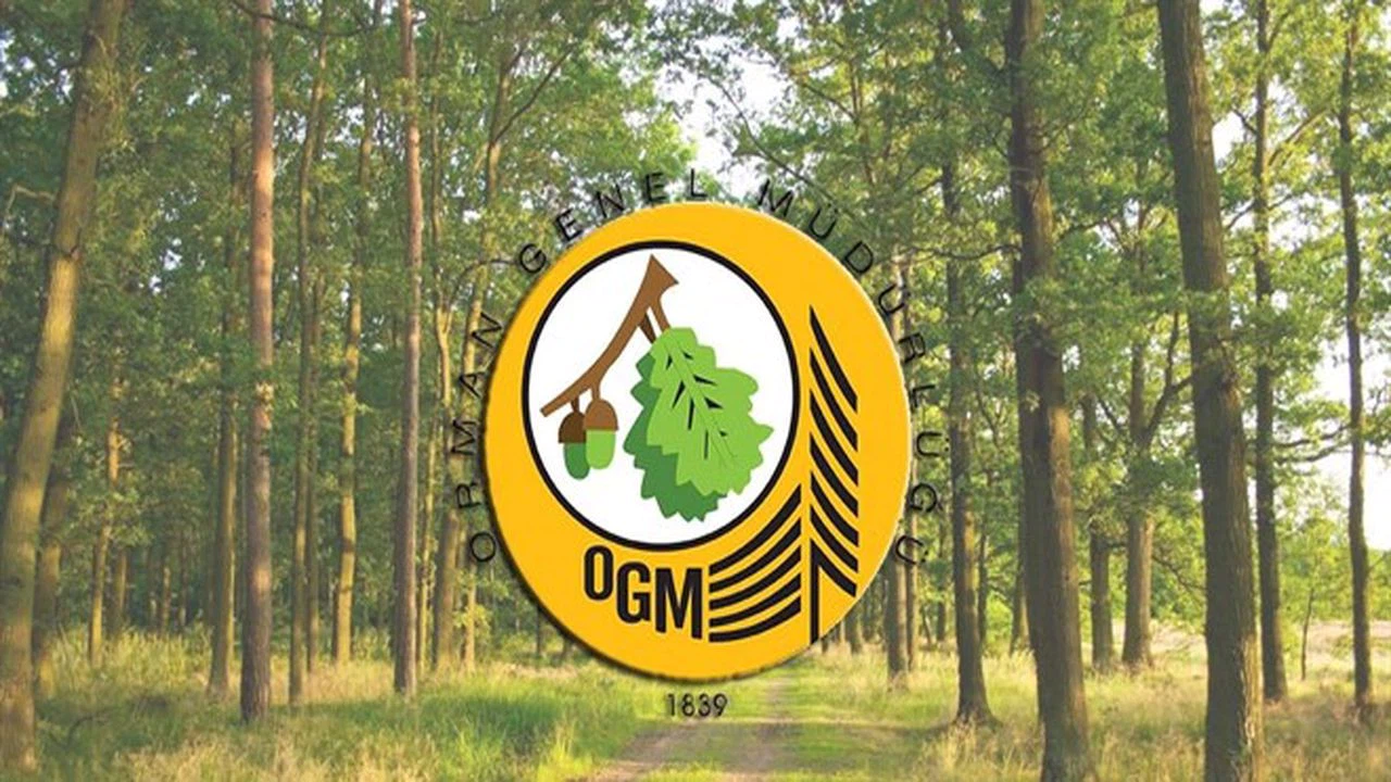 Birgün Gazetesi'nin bir iddiasının daha asılsız olduğu ortaya çıktı