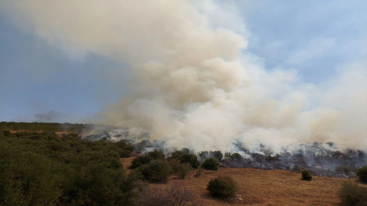 Manisa`da makilik alanda çıkan yangın kontrol altına alındı