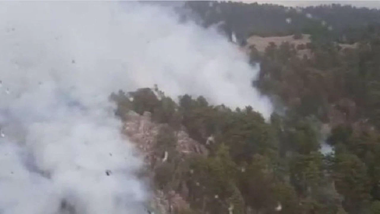 Antalya'da çıkan orman yangınına müdahale ediliyor