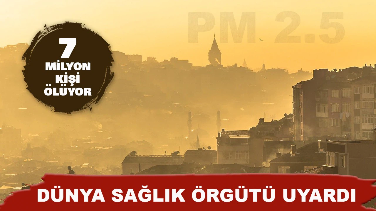 DSÖ: Hava kirliliğinden yılda 7 milyon insan ölüyor