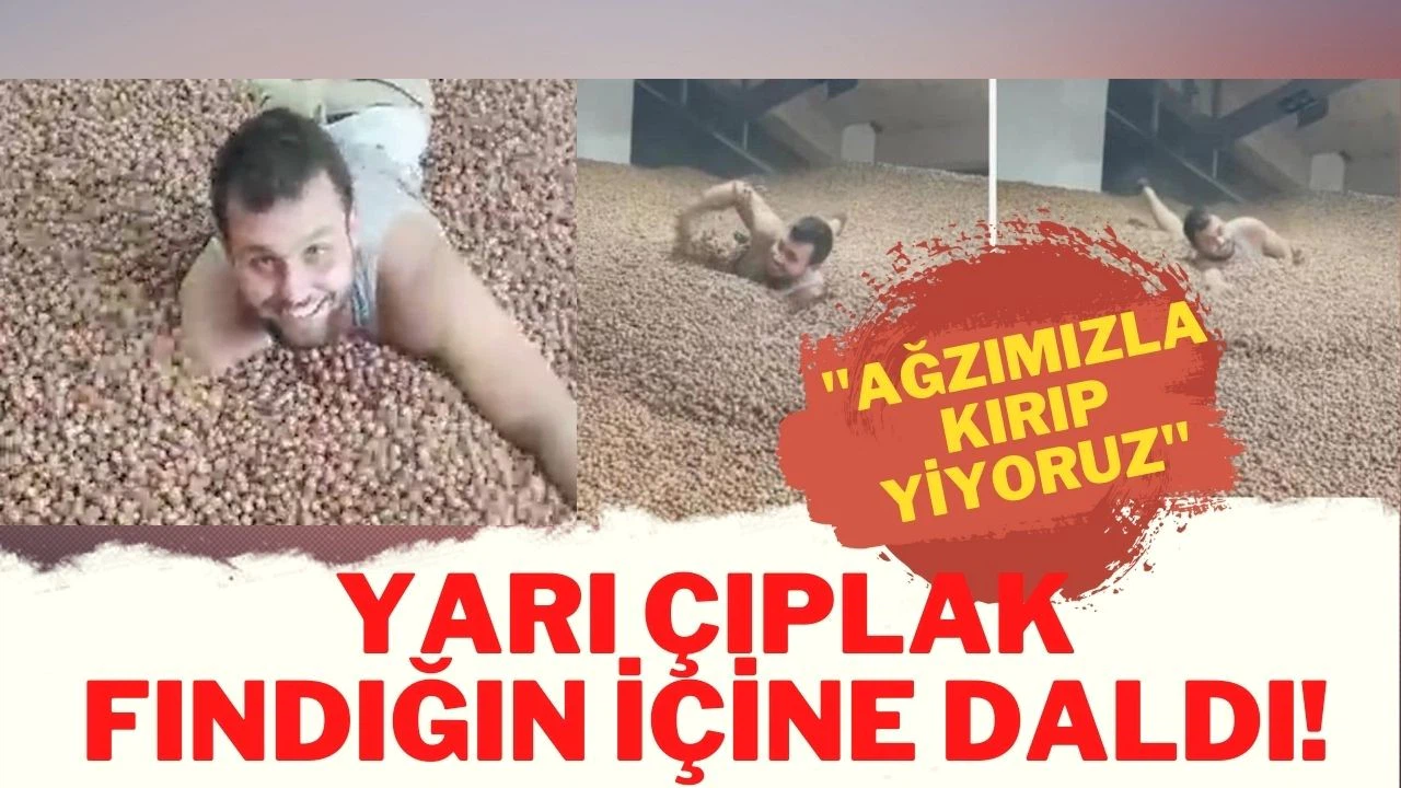 Fındıkların içinde yüzen Tiktok kullanıcısı hakkında soruşturma başlatıldı