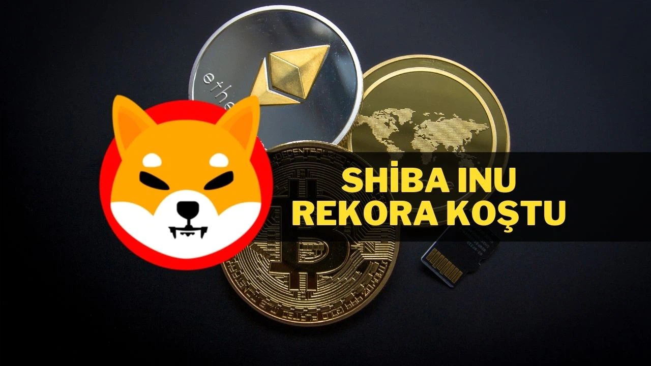 Shiba Inu kripto piyasasını alt üst etti! Değeri %47 arttı!
