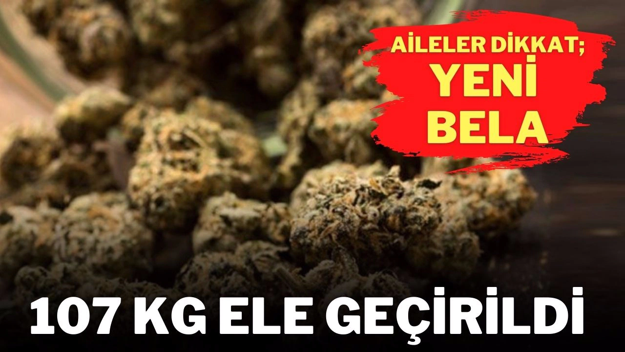 Kocaeli'de bir araçta yaklaşık 107 kilogram skunk ele geçirildi