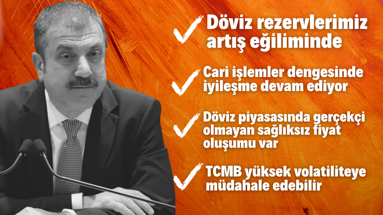 Merkez Bankası Başkanı'ndan dövize müdahale açıklaması