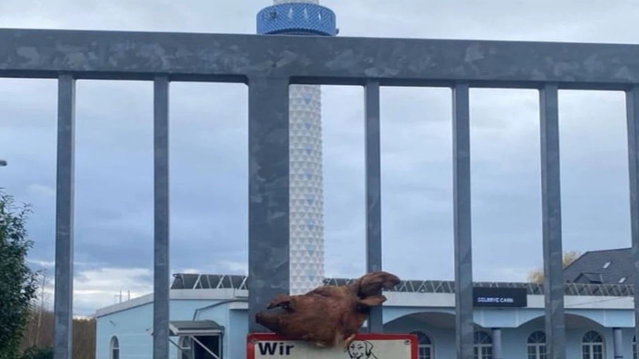 Almanya'da cami kapısına domuz başı asıldı