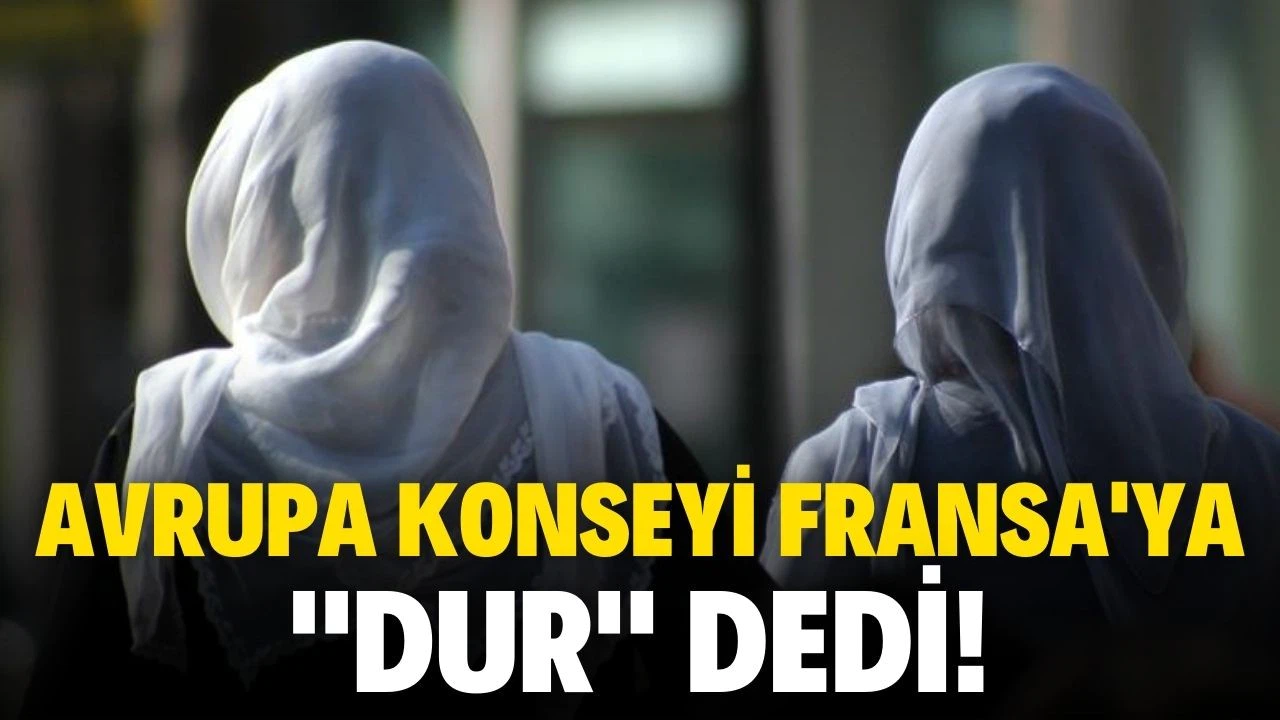 Meclis Başkanı Şentop devreye girdi, Avrupa Konseyi Fransa'ya dur dedi.