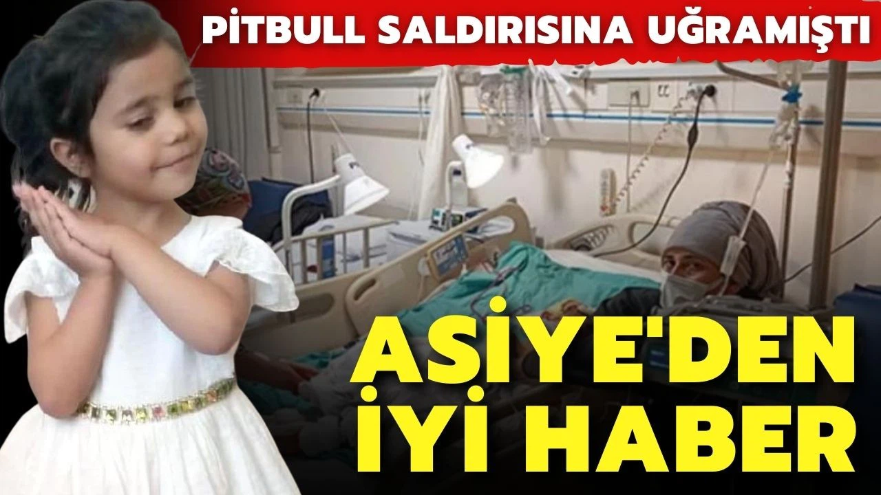 Pitbull saldırısına uğrayan Asiye'den iyi haber