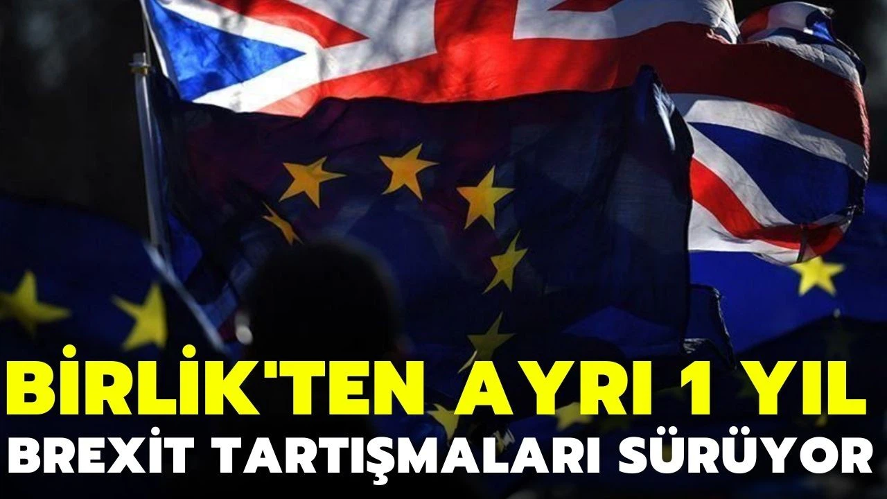 Brexit'in 1. yılında fikir ayrılıkları büyüyor