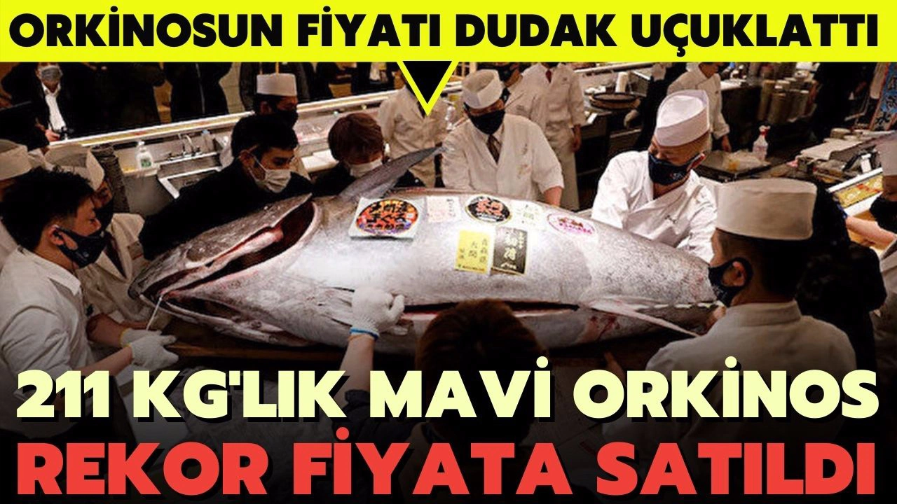 Tokyo'da balık halinde satılan 211 kilogramlık orkinosun fiyatı dudak uçuklattı.