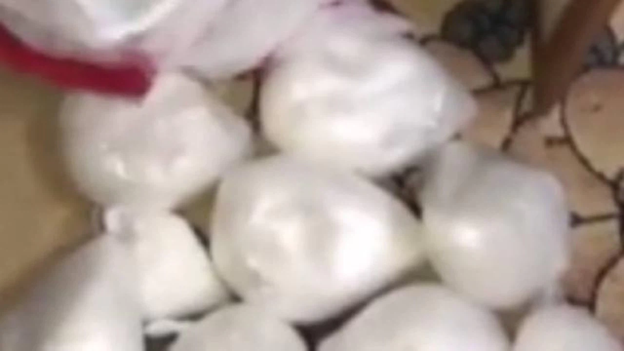 Gaziantep'te 8,5 kilo metamfetamin ele geçirildi