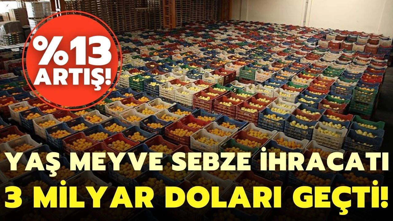 Türkiye'nin 2021'de yaş meyve sebze ihracatı 3 milyar doları geçti