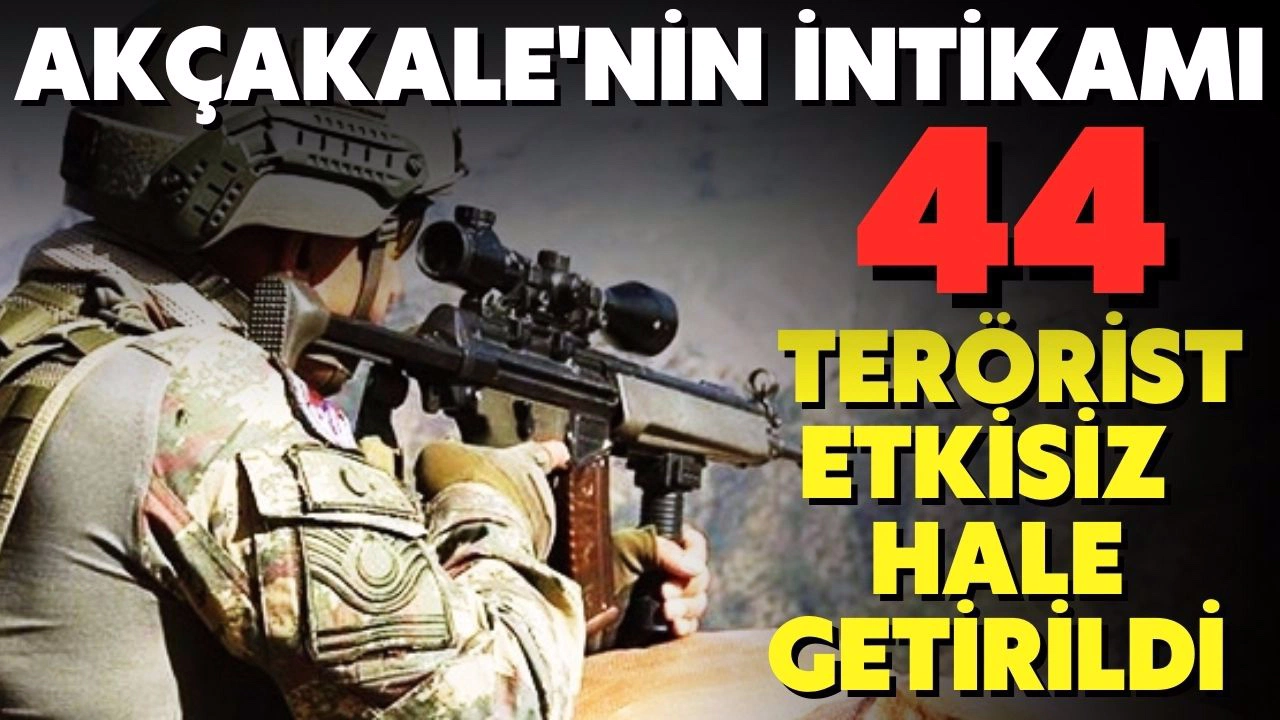 Cezalandırma operasyonları ile 44 terörist etkisiz hale getirildi