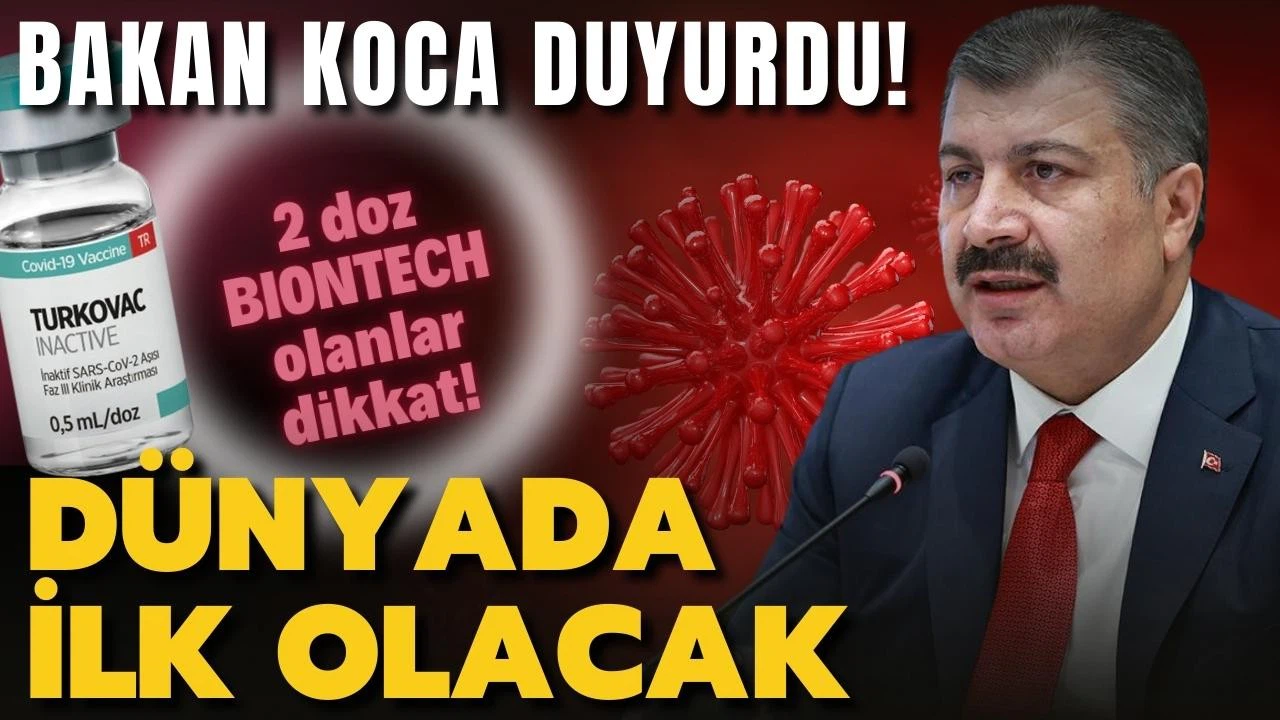 Yerli corona virüs aşısı için yeni çalışma