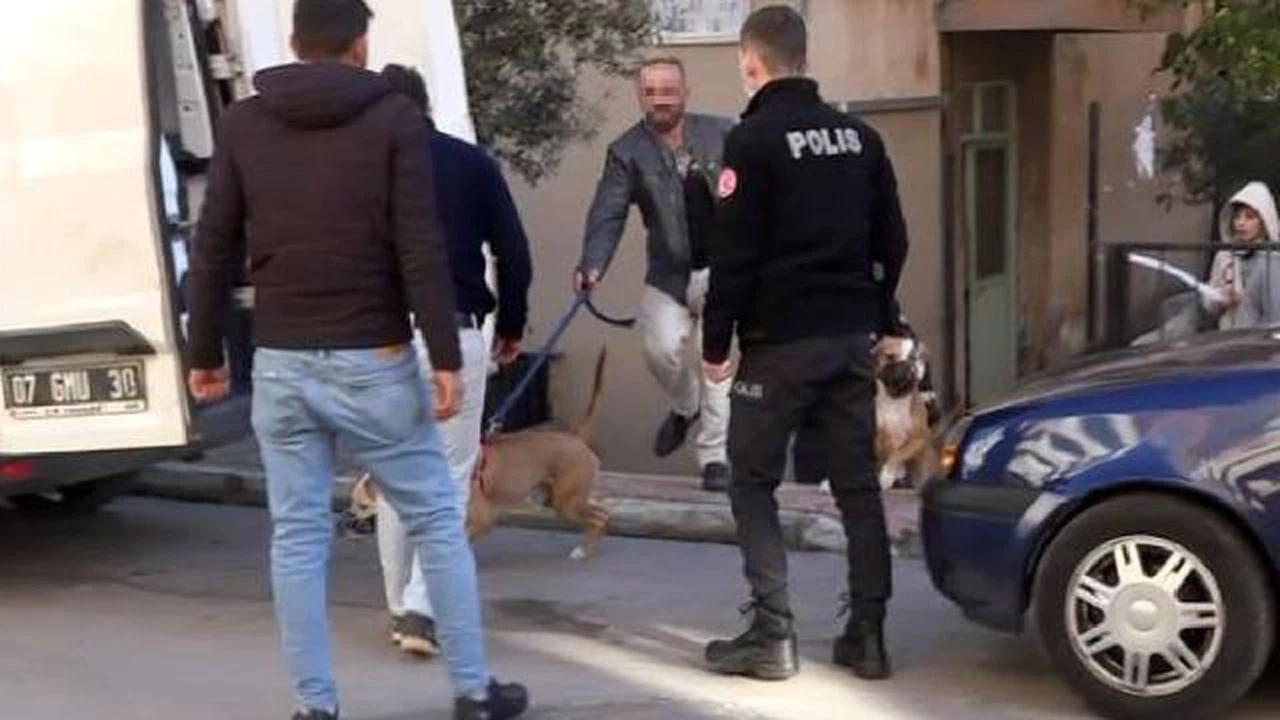 Antalya'da pitbull cinsi köpeğin saldırdığı kişi yaralandı