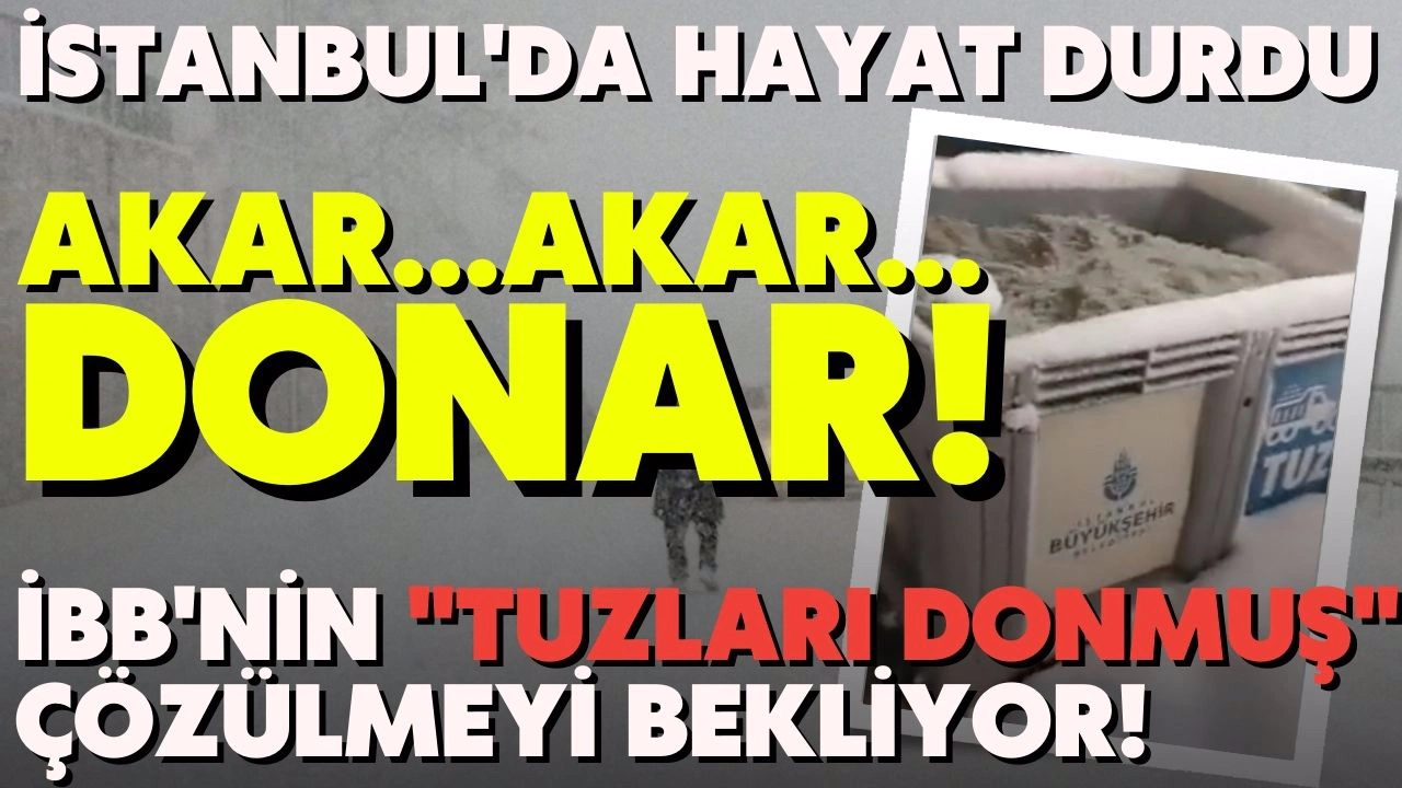 Bir şehir kara teslim oldu, İstanbul'da hayat durdu