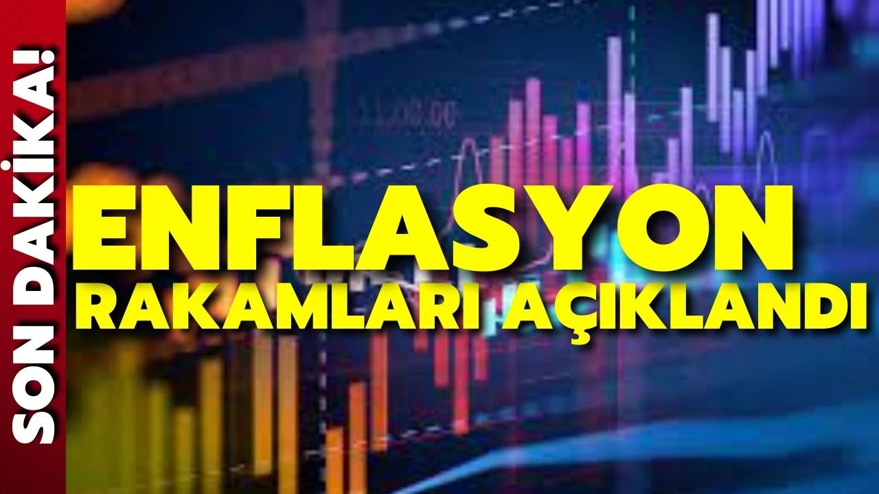Yıllık enflasyon tüketici fiyatlarında yüzde 48,69, yurt içi üretici fiyatlarında yüzde 93,53 oldu.