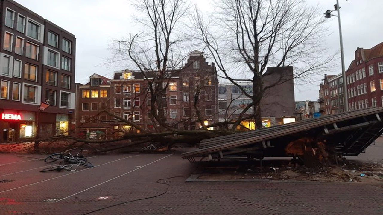 Hollanda’da Eunice Fırtınası hayatı olumsuz etkiliyor