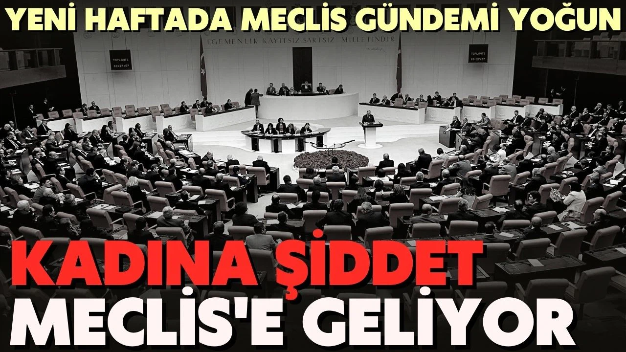 Meclis yeni haftaya yoğun bir gündem ile başlıyor
