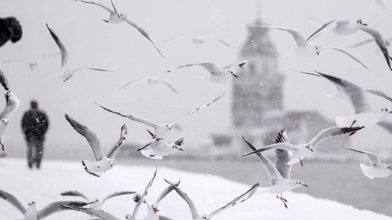 İstanbul Valisi Yerlikaya'dan kuvvetli kar yağışı uyarısı