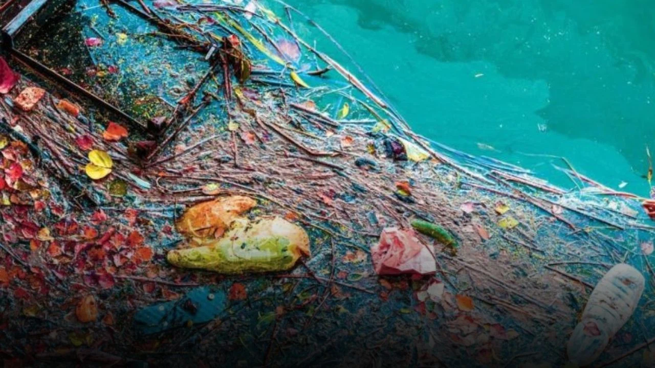 Garanti BBVA ve TURMEPA Marmara Denizi’nden 10 ton atık topladı