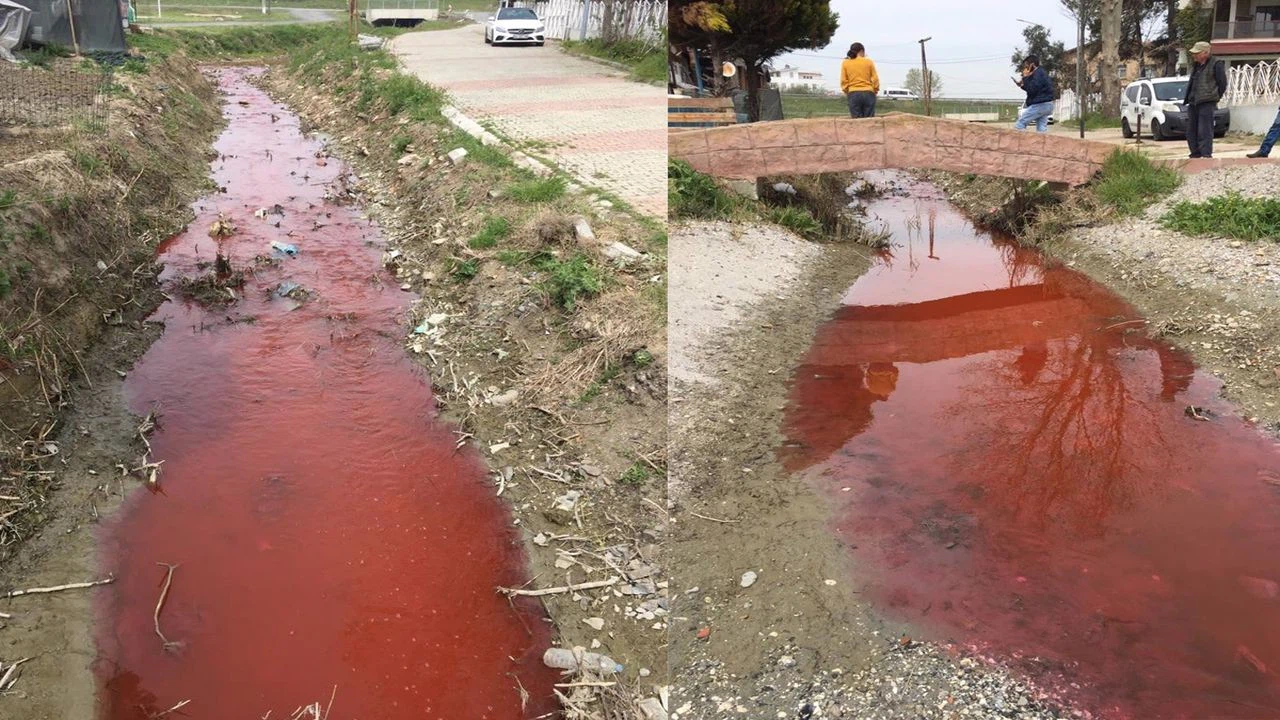 Dereyi kırmızıya boyayan fabrikaya en üst sınırdan ceza