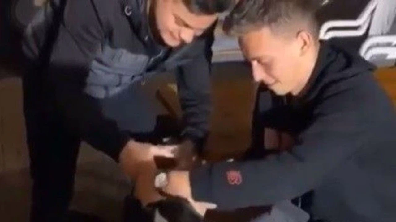 Köpeğin zorla ağzını açıp içki döktüler