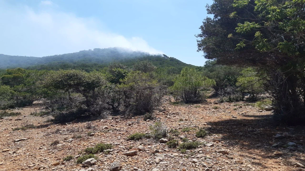 Mersin'de çıkan orman yangını kontrol altına alındı