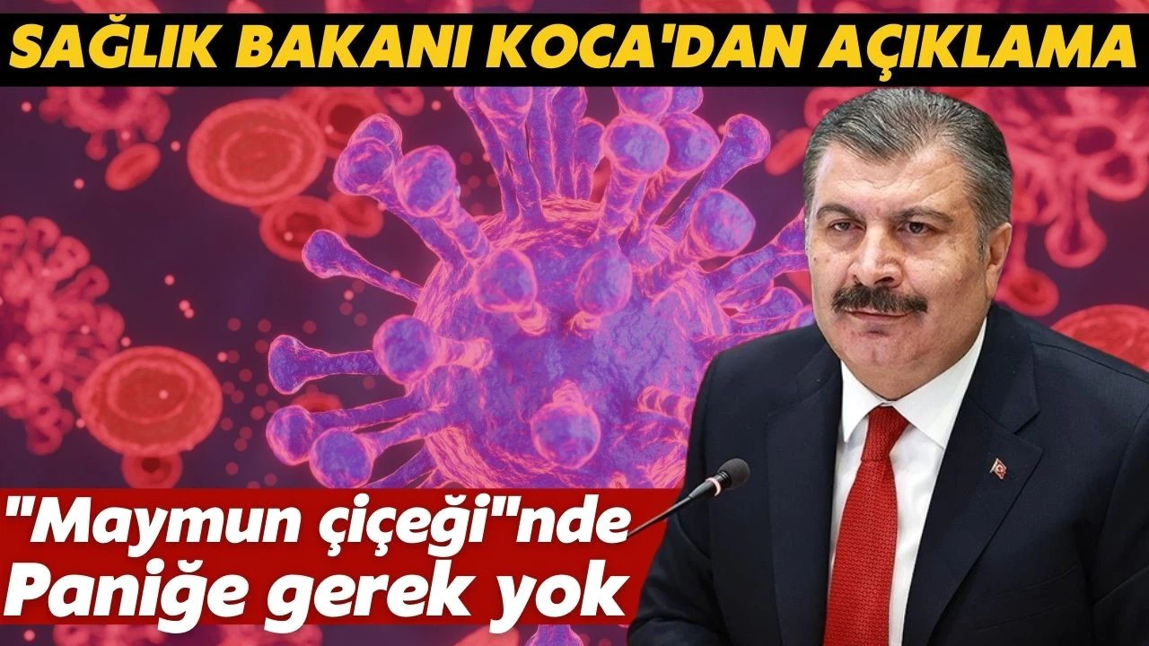 Sağlık Bakanı Fahrettin Koca'dan "maymun çiçeği" açıklaması