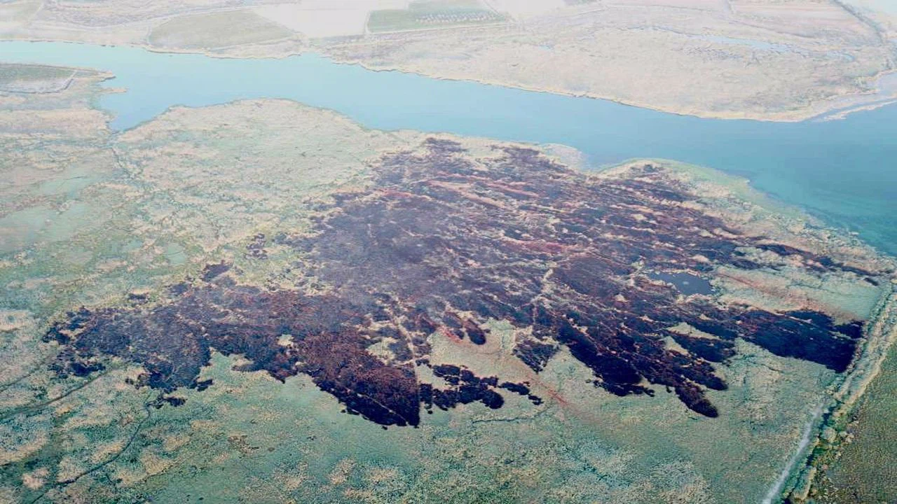 Köyceğiz Gölü'nün sazlık alanındaki yangınla ilgili 3 kişi gözaltına alındı