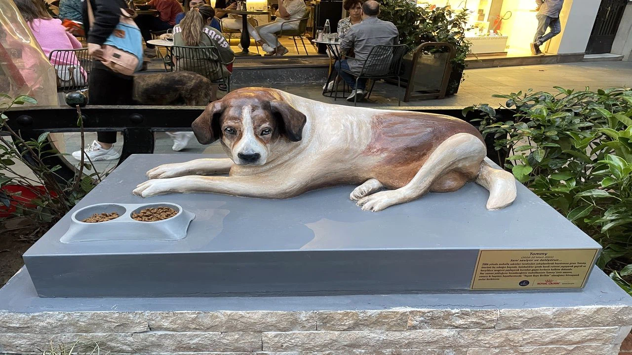 Şişli Belediye Başkanı Muammer Keskin maskot köpeğin heykelini açtı