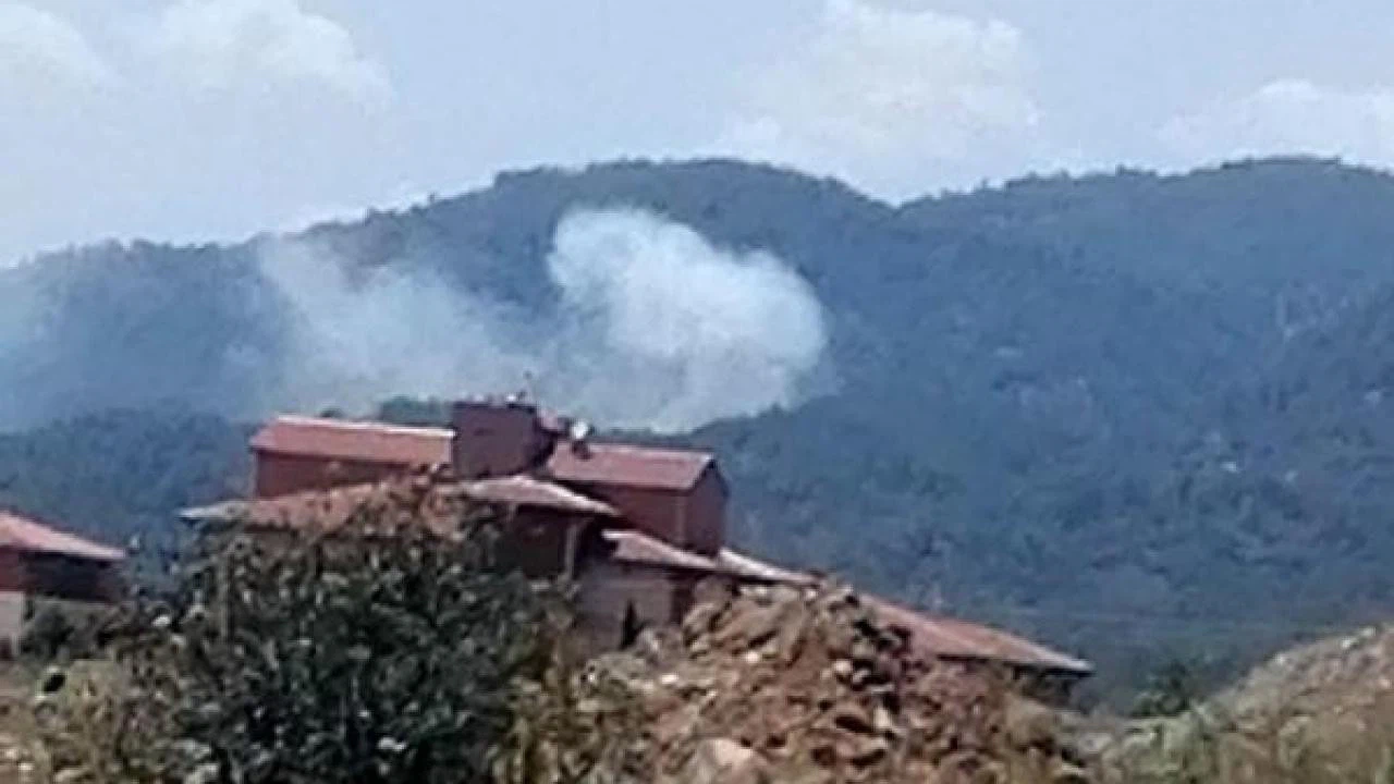 Köyceğiz'deki orman yangını kontrol altına alındı